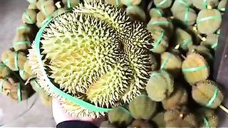 巨乳金蓮 擠奶 噴奶 奶水亂飛 - 23