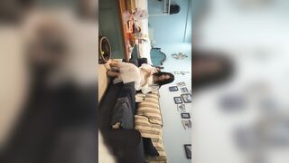 熟女探花 約操高端外圍，超近視角深喉